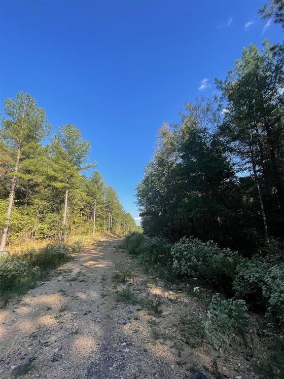 745 Timber Creek Trails South XI