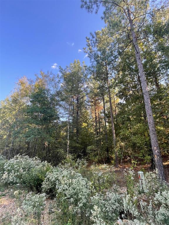 745 Timber Creek Trails South XI
