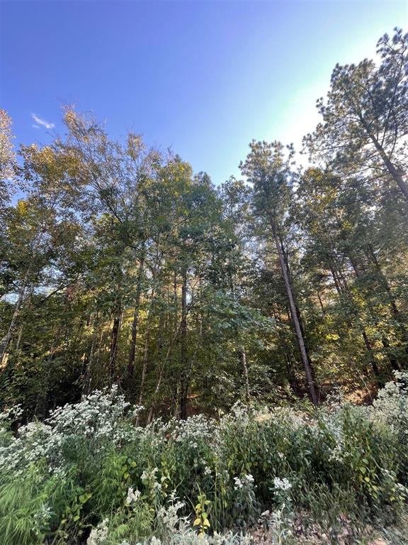 745 Timber Creek Trails South XI