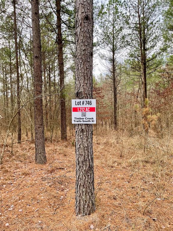 746 Timber Creek Trails South XI