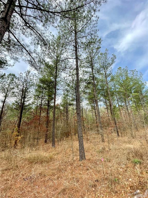 746 Timber Creek Trails South XI