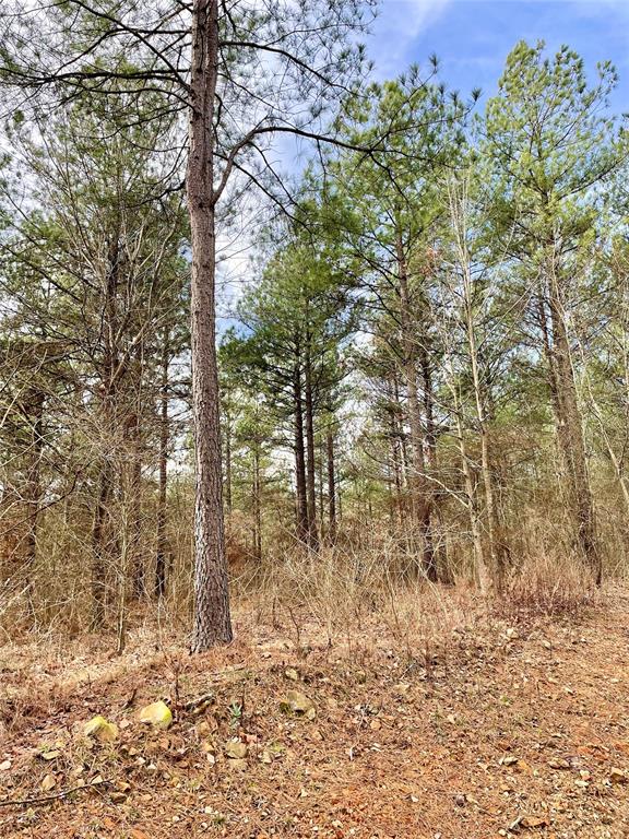 747 Timber Creek Trails South XI