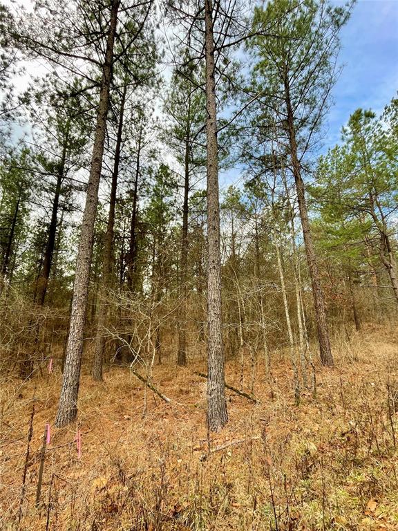 748 Timber Creek Trails South XI