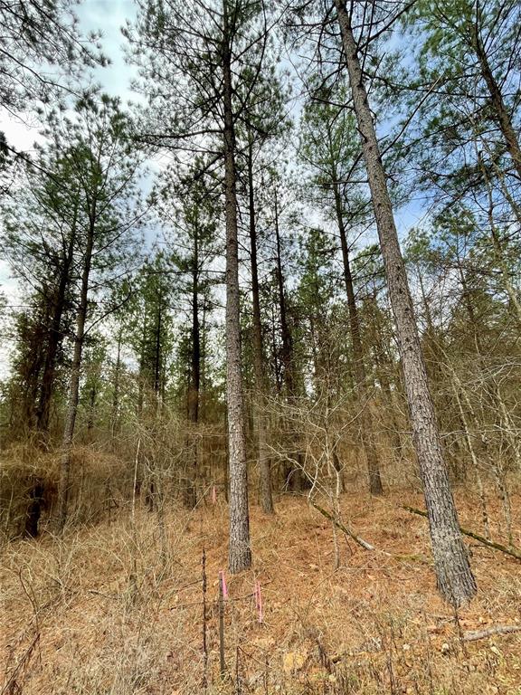 748 Timber Creek Trails South XI