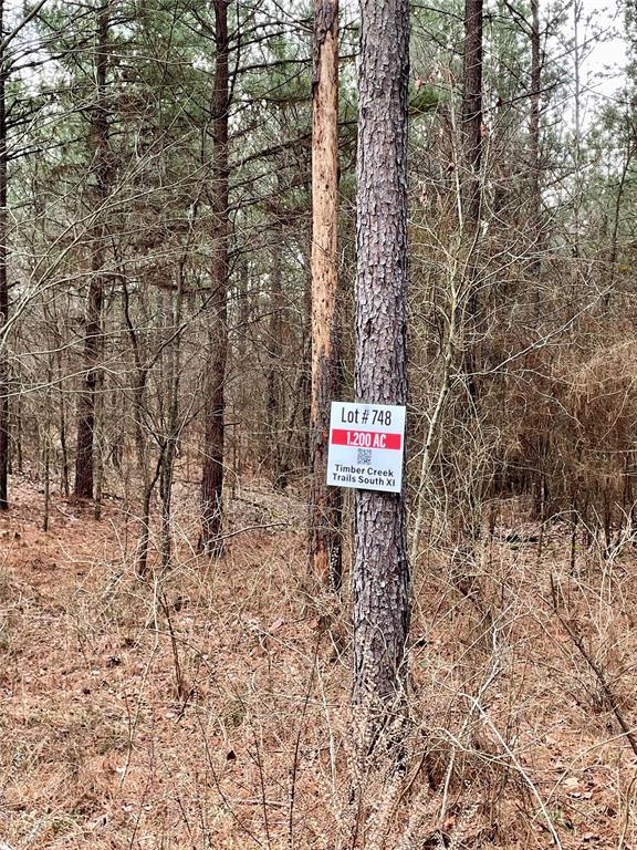 748 Timber Creek Trails South XI