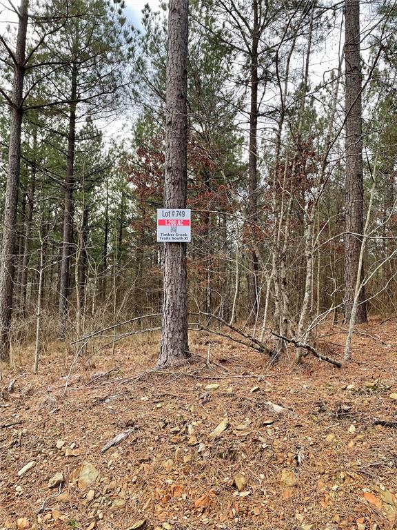 749 Timber Creek Trails South XI