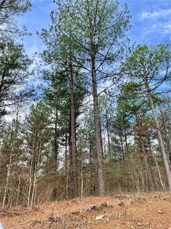 749 Timber Creek Trails South XI