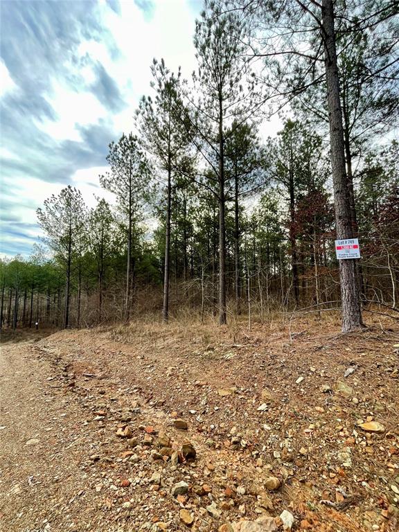 749 Timber Creek Trails South XI