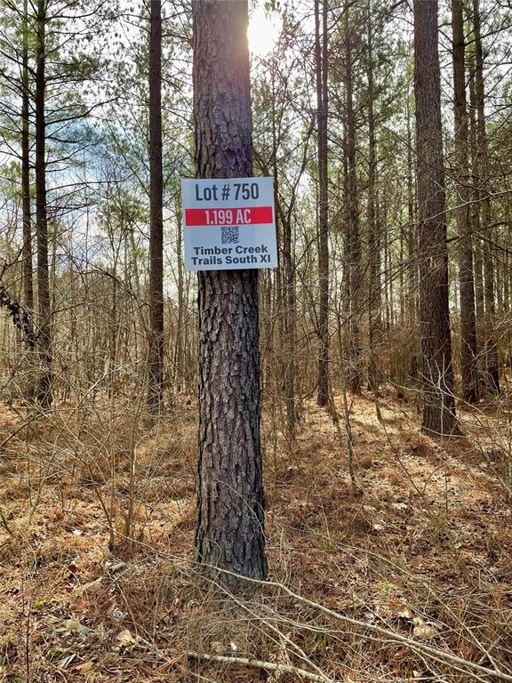 750 Timber Creek Trails South XI