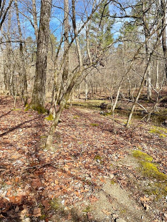 750 Timber Creek Trails South XI