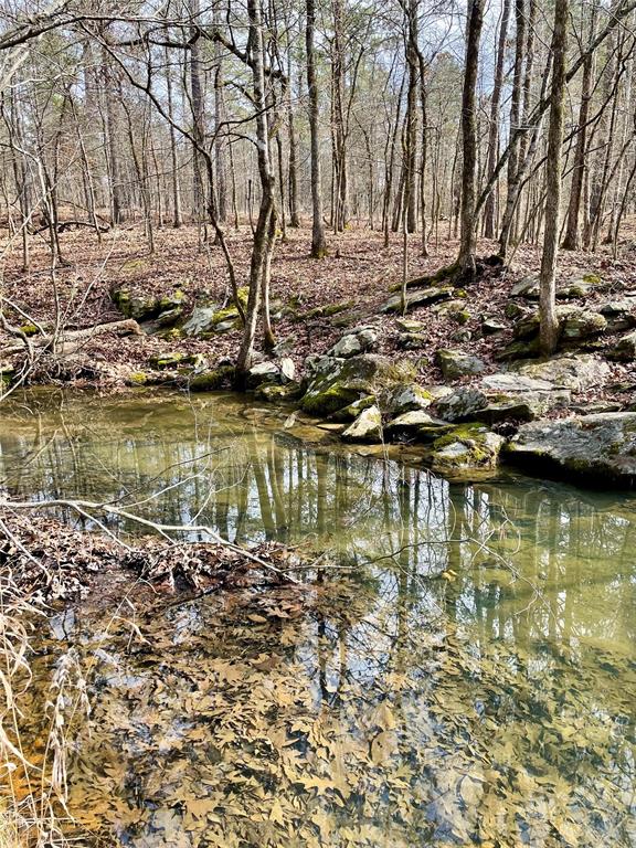 750 Timber Creek Trails South XI