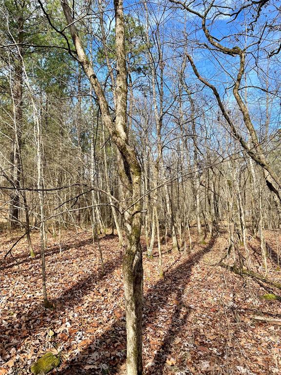 750 Timber Creek Trails South XI