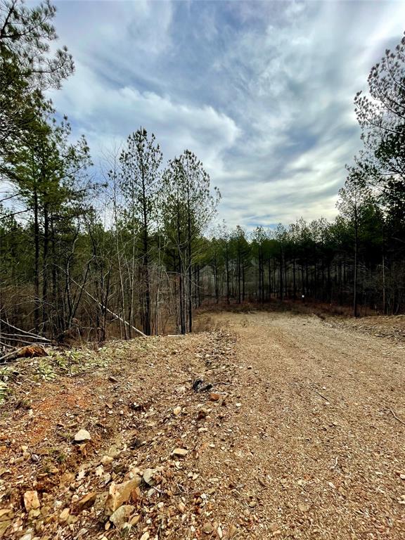 751 Timber Creek Trails South XI