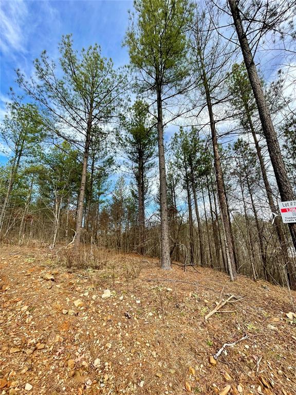 751 Timber Creek Trails South XI