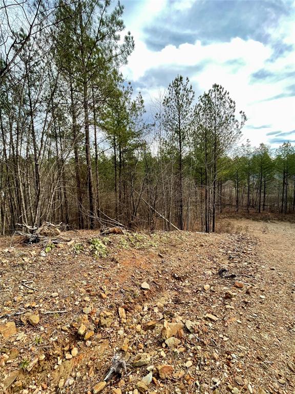 751 Timber Creek Trails South XI