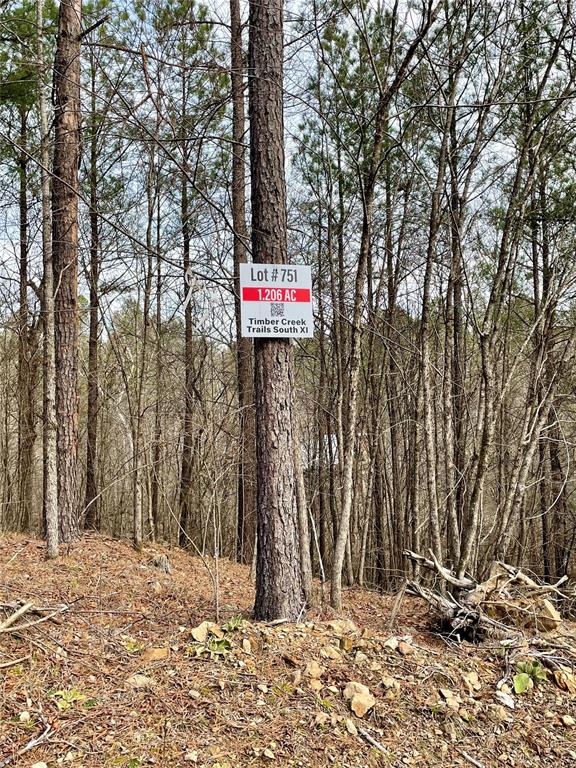 751 Timber Creek Trails South XI