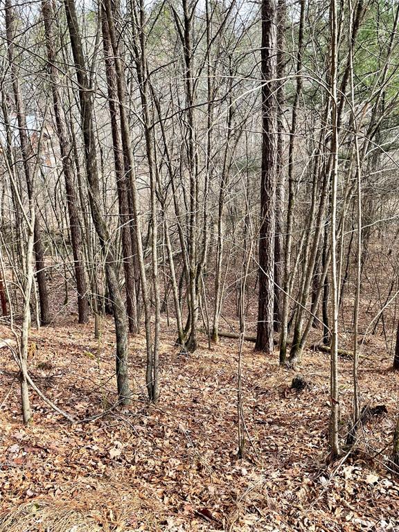751 Timber Creek Trails South XI