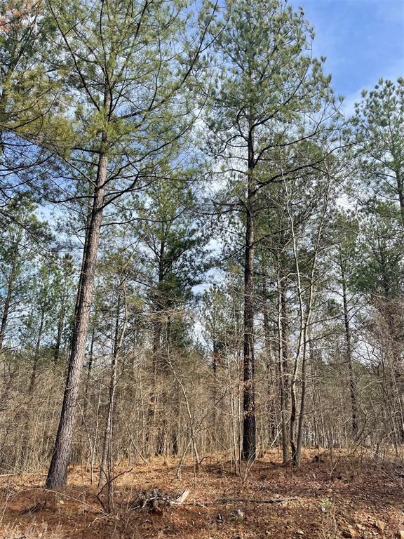 752 Timber Creek Trails South XI