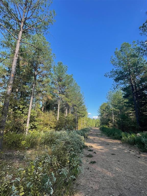 753 Timber Creek Trails South XI