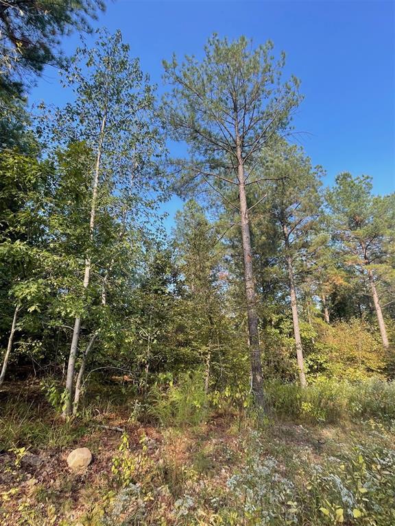 753 Timber Creek Trails South XI