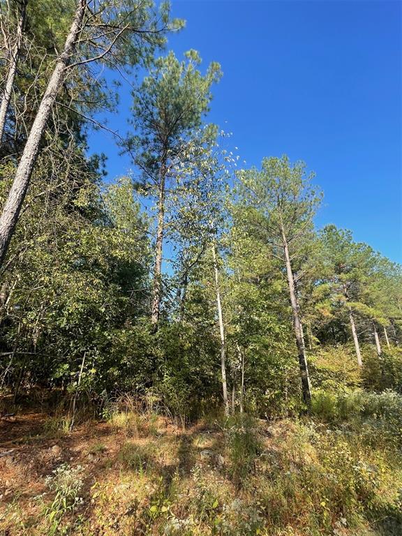 753 Timber Creek Trails South XI