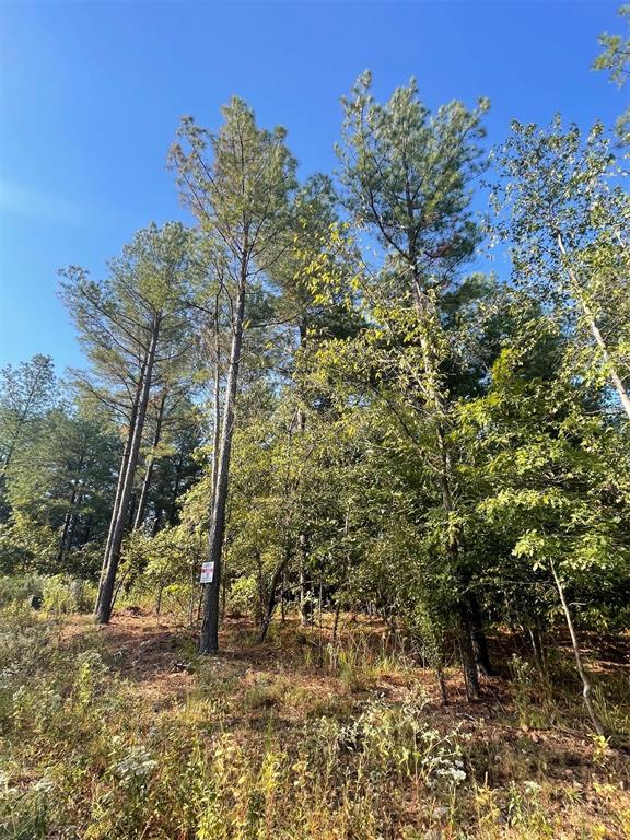 753 Timber Creek Trails South XI