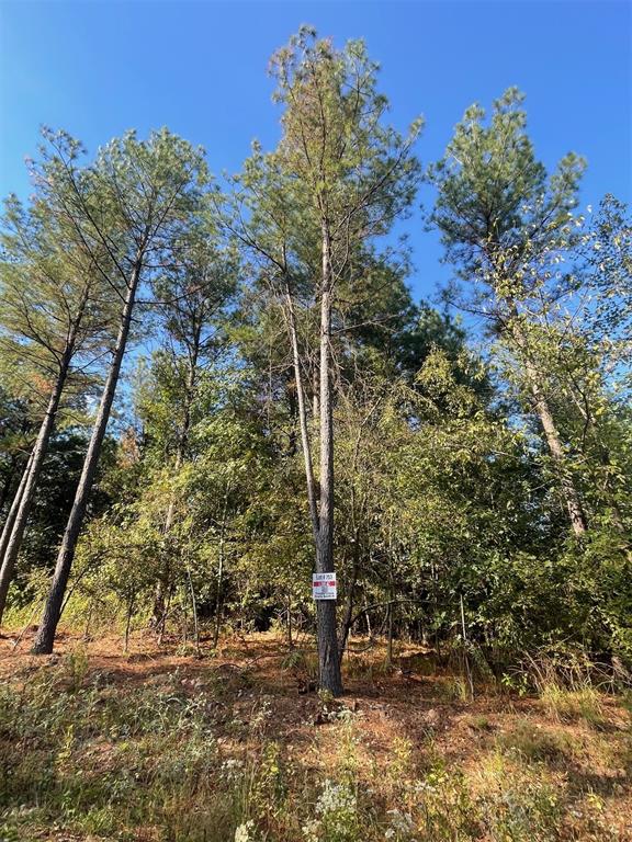 753 Timber Creek Trails South XI