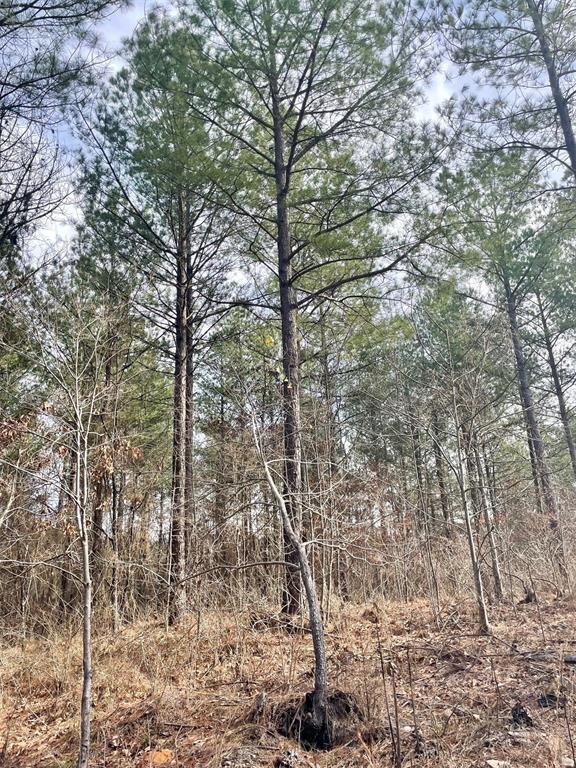 754 Timber Creek Trails South XI