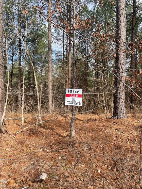 754 Timber Creek Trails South XI