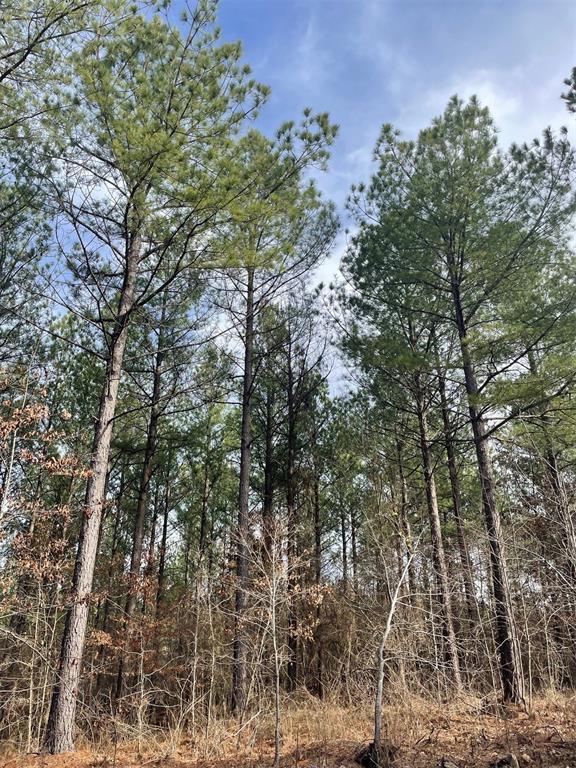 754 Timber Creek Trails South XI