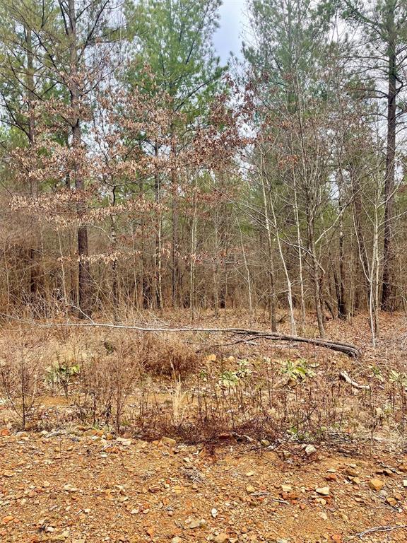 755 Timber Creek Trails South XI