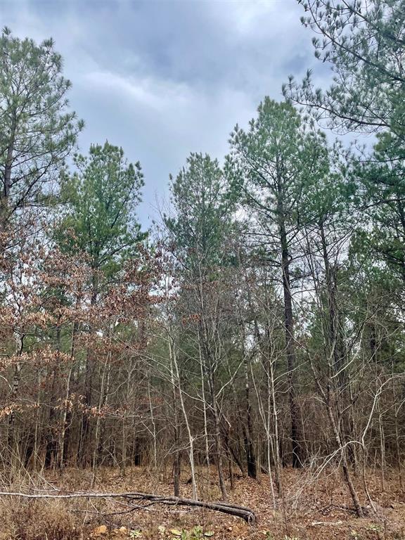 755 Timber Creek Trails South XI