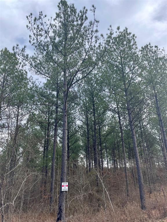 755 Timber Creek Trails South XI
