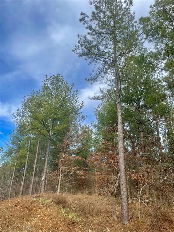 756 Timber Creek Trails South XI