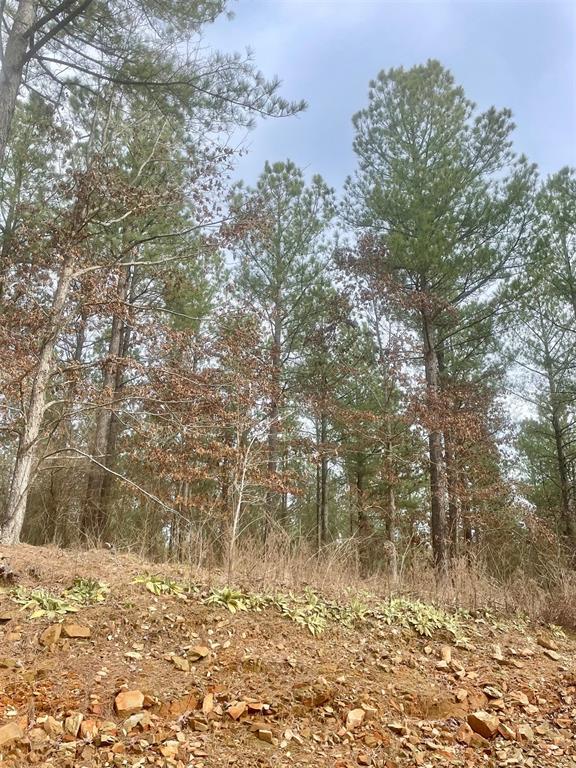 756 Timber Creek Trails South XI