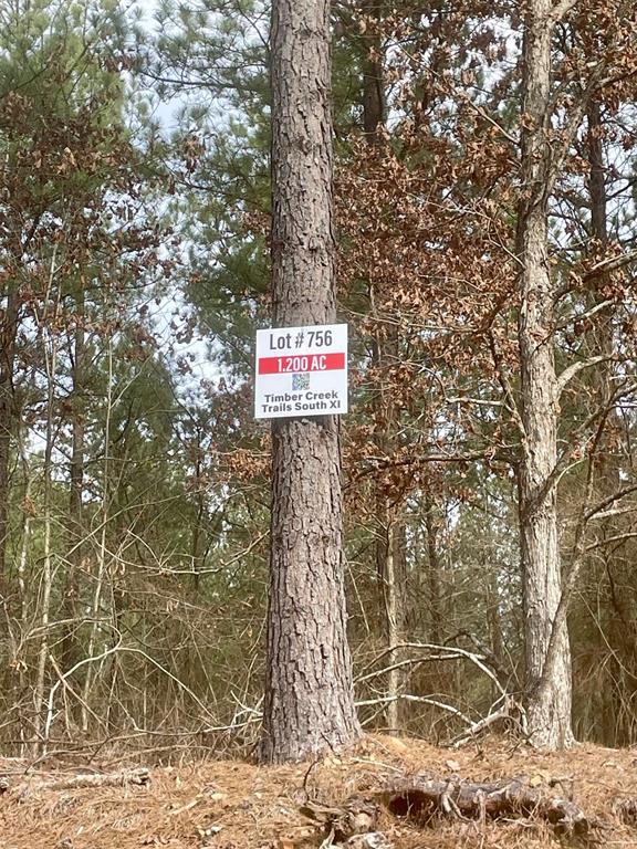 756 Timber Creek Trails South XI