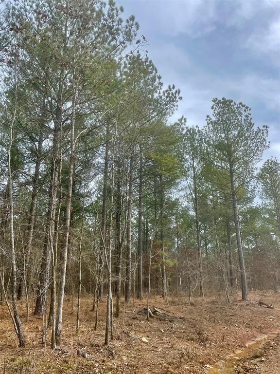 757 Timber Creek Trails South XI