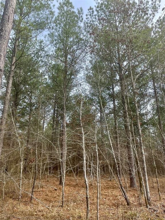 757 Timber Creek Trails South XI