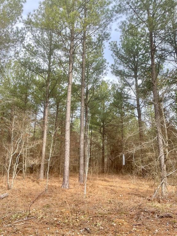 757 Timber Creek Trails South XI
