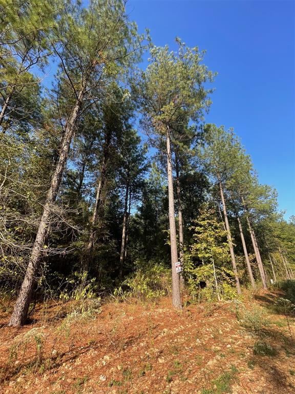 758 Timber Creek Trails South XI