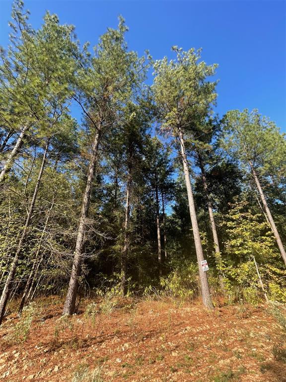 758 Timber Creek Trails South XI
