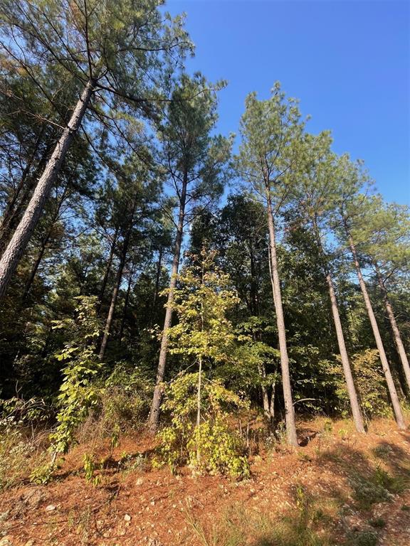 758 Timber Creek Trails South XI