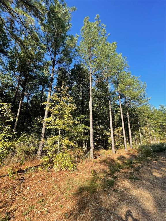758 Timber Creek Trails South XI