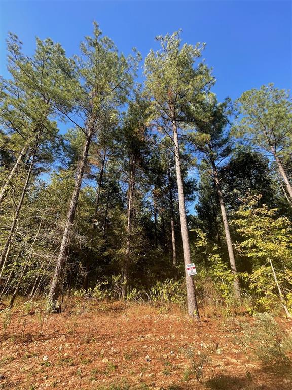 758 Timber Creek Trails South XI