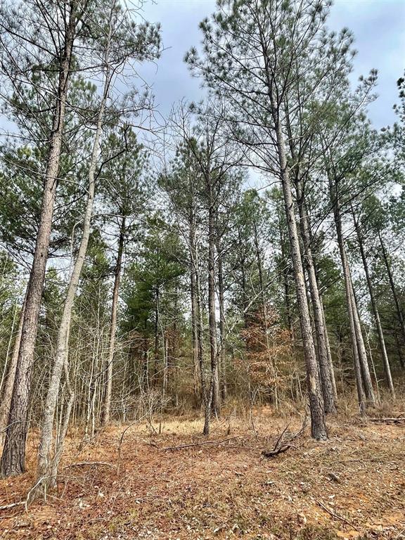 759 Timber Creek Trails South XI