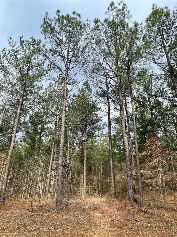 759 Timber Creek Trails South XI