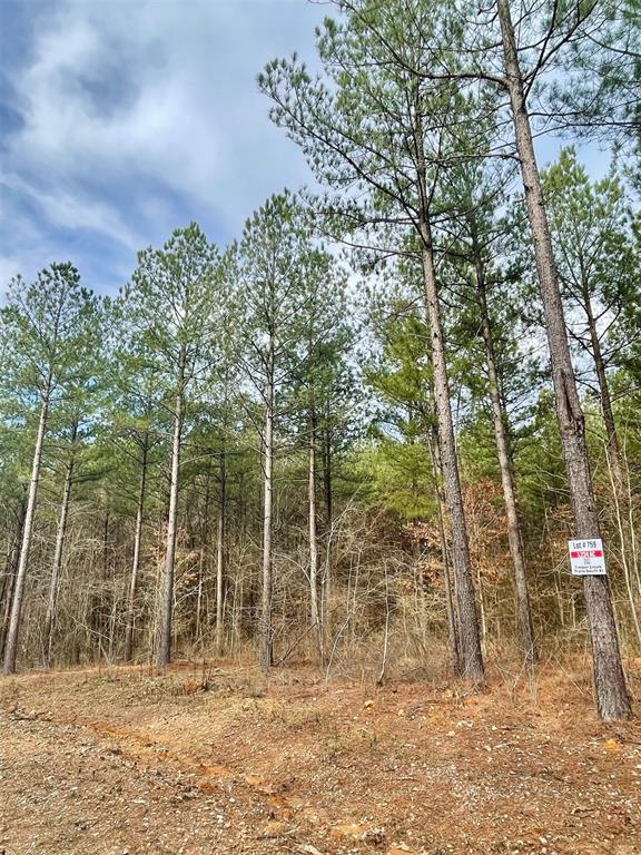 759 Timber Creek Trails South XI