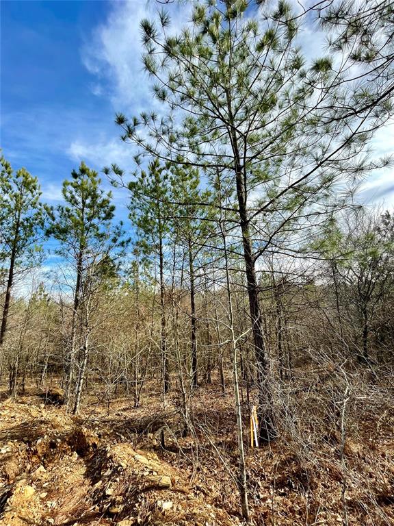 760 Timber Creek Trails South XI