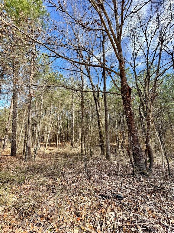 761 Timber Creek Trails South XI