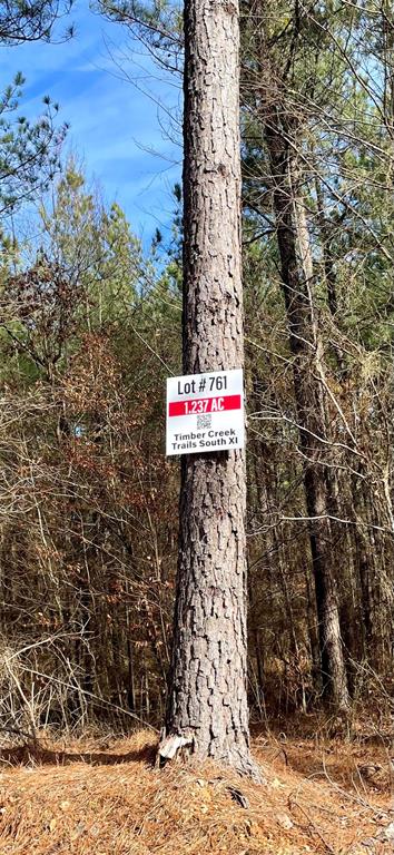 761 Timber Creek Trails South XI